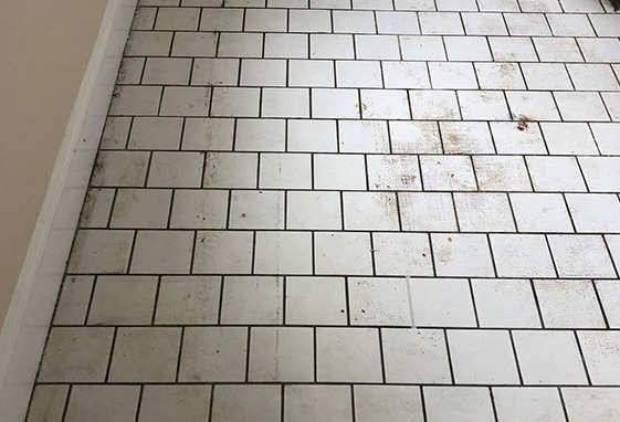 Residential Grout Recoloring and Sealing Before