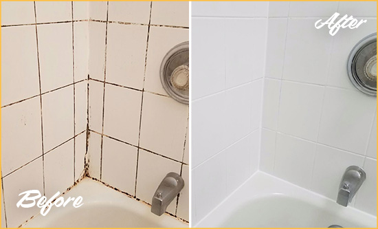 Before and After Picture of a Paisley Shower Tile and Grout Cleaned to Eliminate Mold