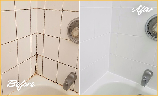 Before and After Picture of a Wekiwa Springs Shower Tile and Grout Cleaned to Eliminate Mold