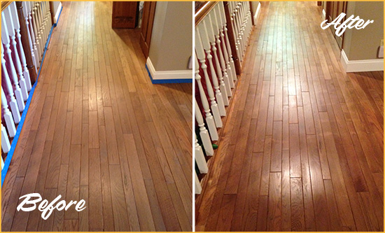 Before and After Picture of a Mount Dora Wood Sand Free Refinishing Service on a Worn Out Floor