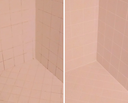 Shower Before and After a Grout Cleaning in The Villages, FL