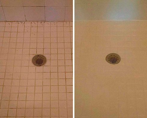 Shower Before and After a Grout Cleaning in Longwood, FL
