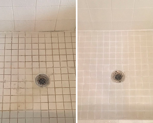 Shower Before and After a Grout Cleaning in Leesburg, FL