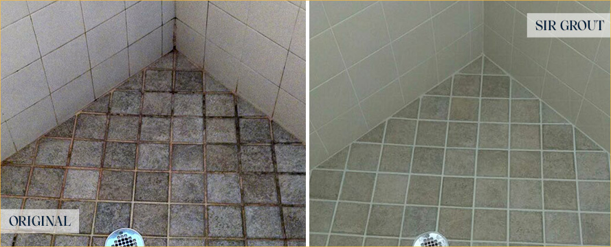 Shower Restored by Our Expert Tile and Grout Cleaners in Leesburg, FL