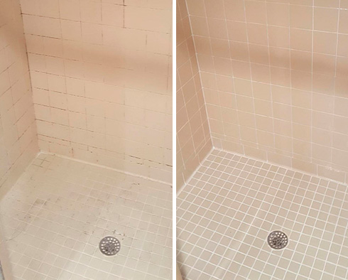 Shower Before and After a Grout Sealing in Leesburg, FL