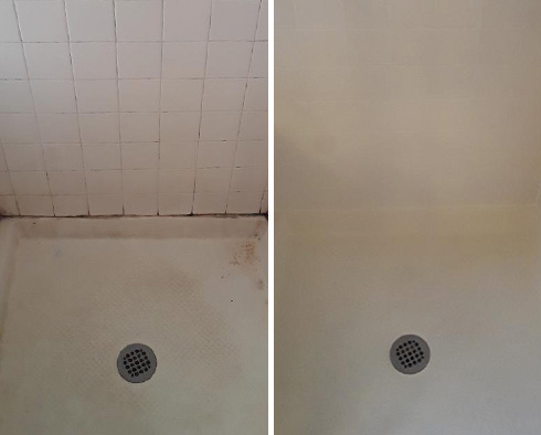 Shower Before and After a Tile Cleaning in Leesburg, FL