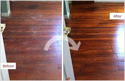 Sir Grout Central Florida Deep Wood Cleaning