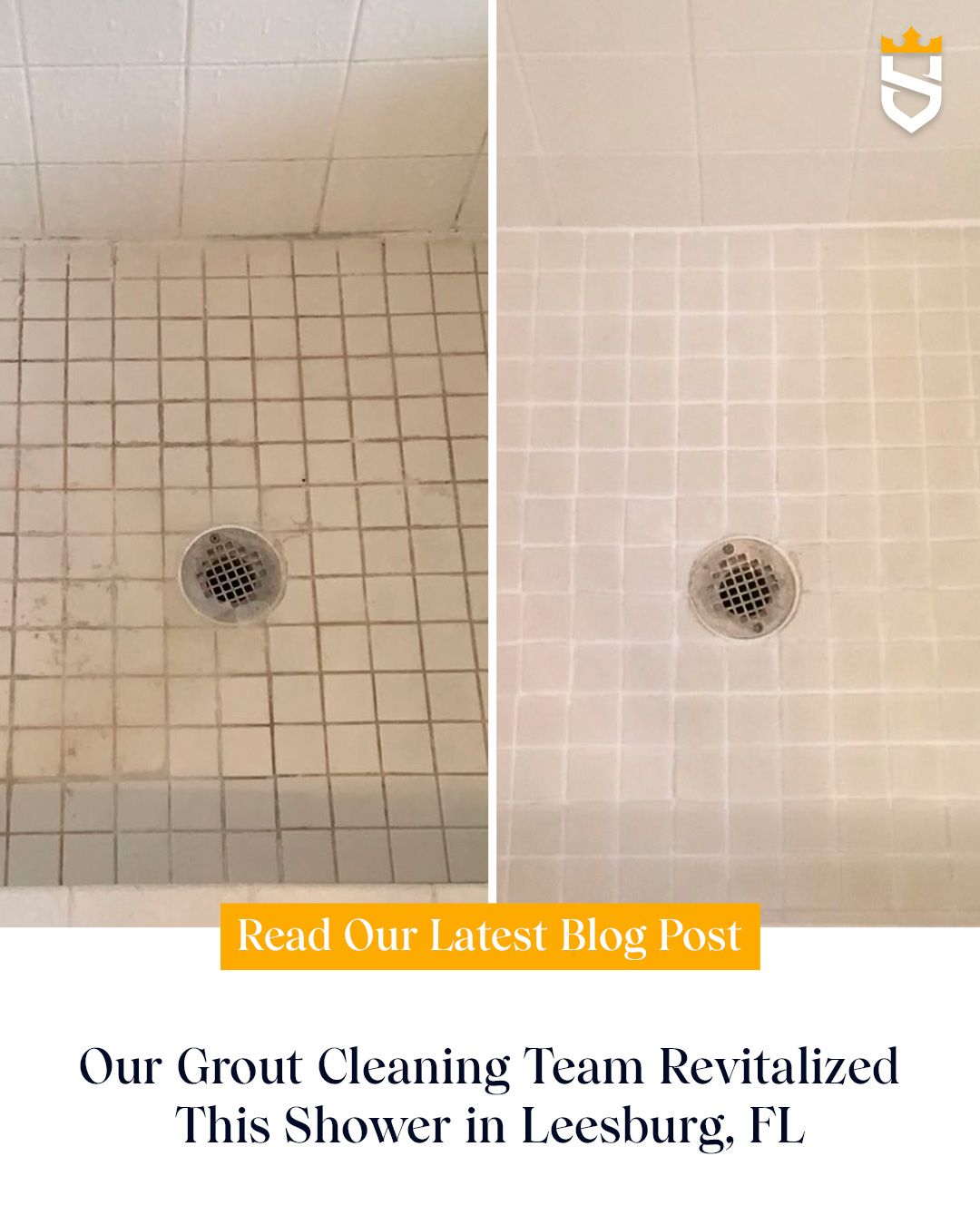 Our Grout Cleaning Team Revitalized This Shower in Leesburg, FL