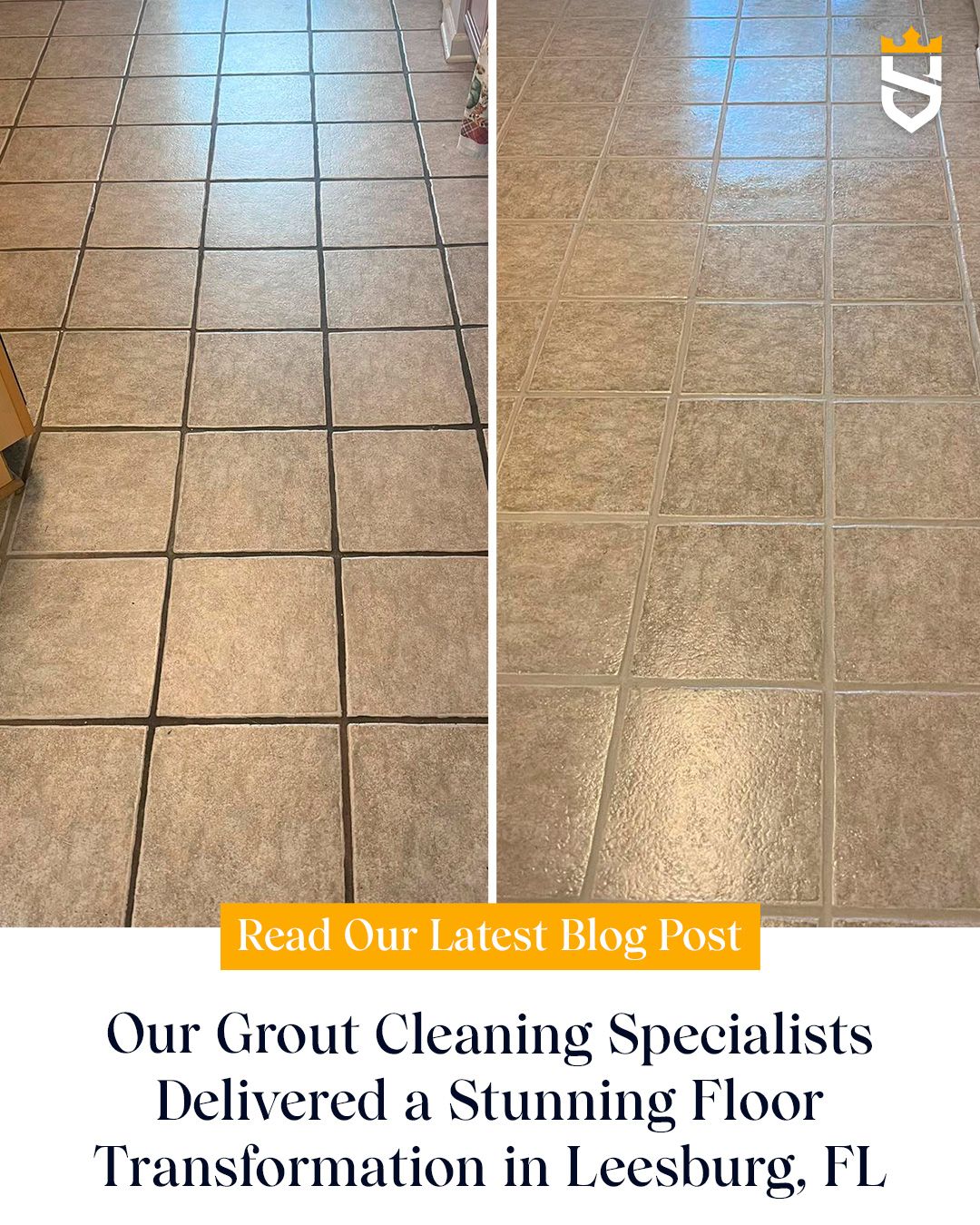 Our Grout Cleaning Specialists Delivered a Stunning Floor Transformation in Leesburg, FL